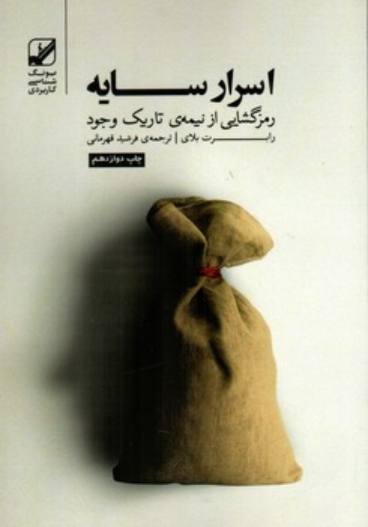 تصویر  اسرار سایه - رمزگشایی از نیمه ی تاریک وجود (رقعی-شمیز)